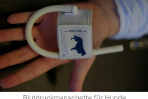 Blutdruckmanschette_Hunde