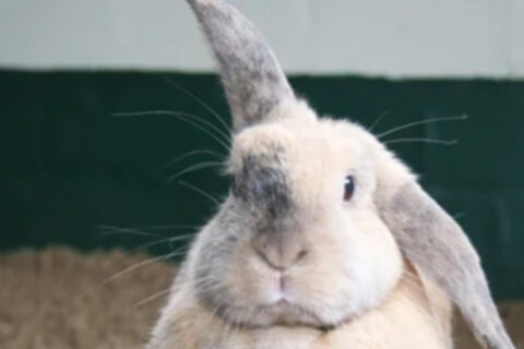 Das Örtliche für Stuttgart Rückwärtssuche Geldautomaten Notapotheken Kostenfreier Eintragsservice Anmelden ×× Tierärzte in Stuttgart Angebotsservice von Das Örtliche Fragen beantworten Mehrere Angebote Vergleichen & Sparen Jetzt direkt anfragen! Treffer 1-25 von 25 Treffer anzeigen mit Termin vereinbaren (13) Video (1) Bilder (3) Bewertungen (22) Öffnungszeiten Jetzt offen (9) Alle Öffnungszeiten (13) Rubriken Tierärzte (22) Tierkliniken (2) Buchhandel (1) Private Einträge (2) Stadtteile Bad Cannstatt (2) Birkach (1) Botnang (2) Degerloch (2) Feuerbach (1) Hedelfingen (1) Heumaden (1) Möhringen (1) Nord (2) Plieningen (2) Sillenbuch (2) Stammheim (1) Untertürkheim (1) Vaihingen (1) Weilimdorf (1) ›Alle Stadtteile zeigen … A - Z Trefferliste Bendel J. Dr. Tierarztpraxis Tierärzte Münchinger Str. 4 70439 Stuttgart, Stammheim Tel. 0711 6 72 53 53 Gratis anrufen! 13 Bewertungen1 Jetzt bewerten! Details anzeigen Termin anfragen2 Benetka M. MV Dr. , Brüning C. med.vet. Tierärztliche Gemeinschaftspraxis Tierärzte Griegstr. 27 C 70195 Stuttgart, Botnang Tel. 0711 69 08 13 Gratis anrufen! Geöffnet bis 19:00 Uhr 11 Bewertungen (+ 2 weitere)1 Jetzt bewerten! Details anzeigen Dr. Stephanie Hünemörder-Milz Tierarztpraxis Tierärzte Masurenstr. 12 70374 Stuttgart, Bad Cannstatt Tel. 0711 5 28 32 23 Gratis anrufen! öffnet um 16:00 Uhr 4 Bewertungen1 Jetzt bewerten! Details anzeigen Termin anfragen2 E-Mail Website Drescher Birgit Priv. Doz. Dr. med. vet. Kleintierpraxis Tierärzte Bientzlestr. 14 70599 Stuttgart, Birkach Tel. 0711 45 51 07 Gratis anrufen! 4 Bewertungen (+ 2 weitere)1 Jetzt bewerten! Details anzeigen Groß Fritz prakt. Tierarzt Tierärzte Sachsenstr. 9 A 70435 Stuttgart, Zuffenhausen Tel. 0711 8 70 26 26 Gratis anrufen! Web Bewertungen1 ansehen Jetzt bewerten! Details anzeigen Termin anfragen2 Groß Fritz Tierarzt Tierärzte Erbsenbrunnengasse 17 70372 Stuttgart, Bad Cannstatt Tel. 0711 55 82 81 Gratis anrufen! Details anzeigen Termin anfragen2 Häfner Ursula Dr. Dipl.-Biol. Praktische Tierärztin Tierärzte Schlotterbeckstr. 19 70327 Stuttgart, Untertürkheim Tel. 0711 33 38 63 Gratis anrufen! 11 Bewertungen1 Jetzt bewerten! Details anzeigen Lotze Anke Dr.med.vet. Tierarztpraxis Tierärzte Burgenlandstr. 66 70469 Stuttgart, Feuerbach Tel. 0711 81 56 88 Gratis anrufen! 4 Bewertungen1 Jetzt bewerten! Details anzeigen Marquis Corinna Dr. Tierarzt Tierärzte Augustenstr. 106 70197 Stuttgart, West Tel. 0711 6 15 05 97 Gratis anrufen! öffnet um 16:00 Uhr 6 Bewertungen1 Jetzt bewerten! Details anzeigen Morlock Petra Tierarztpraxis Tierärzte Julius-Hölder-Str. 60 70597 Stuttgart, Degerloch Tel. 0711 7 67 67 60 Gratis anrufen! öffnet morgen um 09:00 Uhr 9 Bewertungen (+ 3 weitere)1 Jetzt bewerten! Details anzeigen Termin anfragen2 Müller Nina Dr.med.vet. Tierärzte Mittlere Str. 27 70597 Stuttgart, Degerloch Tel. 0711 9 07 33 44 Gratis anrufen! Details anzeigen Rieso-Carlson Annette Dr.med.vet. Kleintierpraxis Tierärzte Gärtnerstr. 29 70329 Stuttgart, Hedelfingen Tel. 0711 34 23 84 06 Gratis anrufen! 1 Bewertung1 Jetzt bewerten! Details anzeigen Schnepf-Vockrodt Angelika Dr. Tierärztin Tierärzte Hauptstr. 56 A 70563 Stuttgart, Vaihingen Tel. 0711 7 35 69 69 Gratis anrufen! öffnet morgen um 10:00 Uhr 2 Bewertungen (+ 2 weitere)1 Jetzt bewerten! Details anzeigen Termin anfragen2 Schröer Nicola Dr. Tierarztpraxis Tierärzte Kirchheimer Str. 77 70619 Stuttgart, Sillenbuch Fax 0711 4 79 73 99 Geöffnet bis 17:00 Uhr 2 Bewertungen1 Jetzt bewerten! Details anzeigen Seiffert Birgit Dr.med.vet. Tierärztin Tierärzte Regerstr. 18 70195 Stuttgart, Botnang Tel. 0711 65 81 17 50 Gratis anrufen! Geöffnet bis 16:00 Uhr Web Bewertungen1 ansehen Jetzt bewerten! Details anzeigen Termin anfragen2 Späth D. Dr. Kleintierpraxis Tierärzte Rembrandtstr. 15 70567 Stuttgart, Möhringen Tel. 0711 71 24 34 Gratis anrufen! 3 Bewertungen (+ 4 weitere)1 Jetzt bewerten! Details anzeigen Tierärztliche Gemeinschaftspraxis S. Burgsmüller & K. Preßler Praxis für Kleintiere Tierärzte Paprikastr. 14 70619 Stuttgart, Heumaden Tel. 0711 4 40 31 58 Gratis anrufen! Geöffnet bis 18:00 Uhr 2 Bewertungen1 Jetzt bewerten! Details anzeigen Termin anfragen2 Tierarzt Kleintierpraxis Klaus Senger Tierärzte Smaragdweg 1 70174 Stuttgart, Nord Tel. 0711 2 53 67 57 Gratis anrufen! Geöffnet bis 19:00 Uhr 2 Bewertungen (+ 4 weitere)1 Jetzt bewerten! Details anzeigen Termin anfragen2 Tierarztpraxis am Wormser Platz Tierarzt Tierärzte Deidesheimer Str. 15 70499 Stuttgart, Weilimdorf Tel. 0711 8 89 20 92 Gratis anrufen! 4 Bewertungen1 Jetzt bewerten! Details anzeigen Termin anfragen2 Tierarztpraxis Dr.Schröer Nicola Tierärzte Tierärzte Kirchheimer Str. 77 70619 Stuttgart, Sillenbuch Tel. 0711 47 33 43 Gratis anrufen! Geöffnet bis 17:00 Uhr 2 Bewertungen1 Jetzt bewerten! Details anzeigen Termin anfragen2 Weinmann Petra Tierärzte Schloßstr. 58 70176 Stuttgart, West Tel. 0711 62 67 23 Gratis anrufen! Details anzeigen Wörz-Pagenstert Ute Kleintierpraxis Tierärzte Schilfweg 11 70599 Stuttgart, Plieningen Tel. 0711 4 57 02 43 Gratis anrufen! Geöffnet bis 18:00 Uhr 2 Bewertungen1 Jetzt bewerten! Details anzeigen Ernst M. , E. Dres. Kleintierpraxis Tierkliniken Birkenwaldstr. 214 70191 Stuttgart, Nord Tel. 0711 2 56 64 09 Gratis anrufen! 7 Bewertungen (+ 5 weitere)1 Jetzt bewerten! Details anzeigen Termin anfragen2 Schweitzer Fachinformationen Stuttgart | Hoser & Mende KG Buchhandel Rosensteinstraße 9 70182 Stuttgart Tel. 0711 16 35 40 Gratis anrufen! Geöffnet bis 17:00 Uhr Jetzt bewerten! Details anzeigen E-Mail Website Sinzinger Wolfgang Dr.med.vet. , Sonja , Himmelsbach Peter Dr. Tierklinik Tierkliniken Hermann-Fein-Str. 15 70599 Stuttgart, Plieningen Tel. 0711 6 37 38-0 Gratis anrufen! 6 Bewertungen1 Jetzt bewerten! Details anzeigen Termin anfragen2 Eintrag hinzufügen Hier fehlt ein Eintrag? Jetzt mithelfen, Das Örtliche noch besser zu machen! Hier kostenfrei Unternehmen zur Eintragung vorschlagen oder eigenen Privateintrag hinzufügen. Legende: 1 Bewertungen stammen u. a. von Drittanbietern 2 Buchung über externe Partner Kartensuche Strandbaeder Ein Angebot Ihrer Verlage Das Örtliche DTM Deutsche Tele Medien GmbH .wtv Württemberger Medien GmbH & Co. KG Startseite Deutschland Das Örtliche zu Favoriten Kontakt Verbrauchertipps Werben Buchbestellung Presse Das Örtliche für Unterwegs Mobil Mein Örtliches Nutzungsbedingungen Datenschutz Netiquette Impressum Datenschutz-Einstellungen Freibäder finden Weihnachtsmärkte finden Adresssuche Geldautomaten Notapotheken Telefonauskunft Postleitzahlen Vorwahlen Firmensuche Rückwärtssuche Branchenbuch Personensuche GoLocal DTM Deutsche Tele Medien GmbH Facebook – Fan werden Folge uns auf Instagram Folge uns auf X @dasoertliche Über den Messenger suchen Die besten lokalen Empfehlungen Newsletter Suchbegriffe © Das Örtliche 2024 nach oben Abstand Datenschutz-Einstellungen