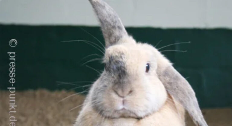 Das Örtliche für Stuttgart Rückwärtssuche Geldautomaten Notapotheken Kostenfreier Eintragsservice Anmelden ×× Tierärzte in Stuttgart Angebotsservice von Das Örtliche Fragen beantworten Mehrere Angebote Vergleichen & Sparen Jetzt direkt anfragen! Treffer 1-25 von 25 Treffer anzeigen mit Termin vereinbaren (13) Video (1) Bilder (3) Bewertungen (22) Öffnungszeiten Jetzt offen (9) Alle Öffnungszeiten (13) Rubriken Tierärzte (22) Tierkliniken (2) Buchhandel (1) Private Einträge (2) Stadtteile Bad Cannstatt (2) Birkach (1) Botnang (2) Degerloch (2) Feuerbach (1) Hedelfingen (1) Heumaden (1) Möhringen (1) Nord (2) Plieningen (2) Sillenbuch (2) Stammheim (1) Untertürkheim (1) Vaihingen (1) Weilimdorf (1) ›Alle Stadtteile zeigen … A - Z Trefferliste Bendel J. Dr. Tierarztpraxis Tierärzte Münchinger Str. 4 70439 Stuttgart, Stammheim Tel. 0711 6 72 53 53 Gratis anrufen! 13 Bewertungen1 Jetzt bewerten! Details anzeigen Termin anfragen2 Benetka M. MV Dr. , Brüning C. med.vet. Tierärztliche Gemeinschaftspraxis Tierärzte Griegstr. 27 C 70195 Stuttgart, Botnang Tel. 0711 69 08 13 Gratis anrufen! Geöffnet bis 19:00 Uhr 11 Bewertungen (+ 2 weitere)1 Jetzt bewerten! Details anzeigen Dr. Stephanie Hünemörder-Milz Tierarztpraxis Tierärzte Masurenstr. 12 70374 Stuttgart, Bad Cannstatt Tel. 0711 5 28 32 23 Gratis anrufen! öffnet um 16:00 Uhr 4 Bewertungen1 Jetzt bewerten! Details anzeigen Termin anfragen2 E-Mail Website Drescher Birgit Priv. Doz. Dr. med. vet. Kleintierpraxis Tierärzte Bientzlestr. 14 70599 Stuttgart, Birkach Tel. 0711 45 51 07 Gratis anrufen! 4 Bewertungen (+ 2 weitere)1 Jetzt bewerten! Details anzeigen Groß Fritz prakt. Tierarzt Tierärzte Sachsenstr. 9 A 70435 Stuttgart, Zuffenhausen Tel. 0711 8 70 26 26 Gratis anrufen! Web Bewertungen1 ansehen Jetzt bewerten! Details anzeigen Termin anfragen2 Groß Fritz Tierarzt Tierärzte Erbsenbrunnengasse 17 70372 Stuttgart, Bad Cannstatt Tel. 0711 55 82 81 Gratis anrufen! Details anzeigen Termin anfragen2 Häfner Ursula Dr. Dipl.-Biol. Praktische Tierärztin Tierärzte Schlotterbeckstr. 19 70327 Stuttgart, Untertürkheim Tel. 0711 33 38 63 Gratis anrufen! 11 Bewertungen1 Jetzt bewerten! Details anzeigen Lotze Anke Dr.med.vet. Tierarztpraxis Tierärzte Burgenlandstr. 66 70469 Stuttgart, Feuerbach Tel. 0711 81 56 88 Gratis anrufen! 4 Bewertungen1 Jetzt bewerten! Details anzeigen Marquis Corinna Dr. Tierarzt Tierärzte Augustenstr. 106 70197 Stuttgart, West Tel. 0711 6 15 05 97 Gratis anrufen! öffnet um 16:00 Uhr 6 Bewertungen1 Jetzt bewerten! Details anzeigen Morlock Petra Tierarztpraxis Tierärzte Julius-Hölder-Str. 60 70597 Stuttgart, Degerloch Tel. 0711 7 67 67 60 Gratis anrufen! öffnet morgen um 09:00 Uhr 9 Bewertungen (+ 3 weitere)1 Jetzt bewerten! Details anzeigen Termin anfragen2 Müller Nina Dr.med.vet. Tierärzte Mittlere Str. 27 70597 Stuttgart, Degerloch Tel. 0711 9 07 33 44 Gratis anrufen! Details anzeigen Rieso-Carlson Annette Dr.med.vet. Kleintierpraxis Tierärzte Gärtnerstr. 29 70329 Stuttgart, Hedelfingen Tel. 0711 34 23 84 06 Gratis anrufen! 1 Bewertung1 Jetzt bewerten! Details anzeigen Schnepf-Vockrodt Angelika Dr. Tierärztin Tierärzte Hauptstr. 56 A 70563 Stuttgart, Vaihingen Tel. 0711 7 35 69 69 Gratis anrufen! öffnet morgen um 10:00 Uhr 2 Bewertungen (+ 2 weitere)1 Jetzt bewerten! Details anzeigen Termin anfragen2 Schröer Nicola Dr. Tierarztpraxis Tierärzte Kirchheimer Str. 77 70619 Stuttgart, Sillenbuch Fax 0711 4 79 73 99 Geöffnet bis 17:00 Uhr 2 Bewertungen1 Jetzt bewerten! Details anzeigen Seiffert Birgit Dr.med.vet. Tierärztin Tierärzte Regerstr. 18 70195 Stuttgart, Botnang Tel. 0711 65 81 17 50 Gratis anrufen! Geöffnet bis 16:00 Uhr Web Bewertungen1 ansehen Jetzt bewerten! Details anzeigen Termin anfragen2 Späth D. Dr. Kleintierpraxis Tierärzte Rembrandtstr. 15 70567 Stuttgart, Möhringen Tel. 0711 71 24 34 Gratis anrufen! 3 Bewertungen (+ 4 weitere)1 Jetzt bewerten! Details anzeigen Tierärztliche Gemeinschaftspraxis S. Burgsmüller & K. Preßler Praxis für Kleintiere Tierärzte Paprikastr. 14 70619 Stuttgart, Heumaden Tel. 0711 4 40 31 58 Gratis anrufen! Geöffnet bis 18:00 Uhr 2 Bewertungen1 Jetzt bewerten! Details anzeigen Termin anfragen2 Tierarzt Kleintierpraxis Klaus Senger Tierärzte Smaragdweg 1 70174 Stuttgart, Nord Tel. 0711 2 53 67 57 Gratis anrufen! Geöffnet bis 19:00 Uhr 2 Bewertungen (+ 4 weitere)1 Jetzt bewerten! Details anzeigen Termin anfragen2 Tierarztpraxis am Wormser Platz Tierarzt Tierärzte Deidesheimer Str. 15 70499 Stuttgart, Weilimdorf Tel. 0711 8 89 20 92 Gratis anrufen! 4 Bewertungen1 Jetzt bewerten! Details anzeigen Termin anfragen2 Tierarztpraxis Dr.Schröer Nicola Tierärzte Tierärzte Kirchheimer Str. 77 70619 Stuttgart, Sillenbuch Tel. 0711 47 33 43 Gratis anrufen! Geöffnet bis 17:00 Uhr 2 Bewertungen1 Jetzt bewerten! Details anzeigen Termin anfragen2 Weinmann Petra Tierärzte Schloßstr. 58 70176 Stuttgart, West Tel. 0711 62 67 23 Gratis anrufen! Details anzeigen Wörz-Pagenstert Ute Kleintierpraxis Tierärzte Schilfweg 11 70599 Stuttgart, Plieningen Tel. 0711 4 57 02 43 Gratis anrufen! Geöffnet bis 18:00 Uhr 2 Bewertungen1 Jetzt bewerten! Details anzeigen Ernst M. , E. Dres. Kleintierpraxis Tierkliniken Birkenwaldstr. 214 70191 Stuttgart, Nord Tel. 0711 2 56 64 09 Gratis anrufen! 7 Bewertungen (+ 5 weitere)1 Jetzt bewerten! Details anzeigen Termin anfragen2 Schweitzer Fachinformationen Stuttgart | Hoser & Mende KG Buchhandel Rosensteinstraße 9 70182 Stuttgart Tel. 0711 16 35 40 Gratis anrufen! Geöffnet bis 17:00 Uhr Jetzt bewerten! Details anzeigen E-Mail Website Sinzinger Wolfgang Dr.med.vet. , Sonja , Himmelsbach Peter Dr. Tierklinik Tierkliniken Hermann-Fein-Str. 15 70599 Stuttgart, Plieningen Tel. 0711 6 37 38-0 Gratis anrufen! 6 Bewertungen1 Jetzt bewerten! Details anzeigen Termin anfragen2 Eintrag hinzufügen Hier fehlt ein Eintrag? Jetzt mithelfen, Das Örtliche noch besser zu machen! Hier kostenfrei Unternehmen zur Eintragung vorschlagen oder eigenen Privateintrag hinzufügen. Legende: 1 Bewertungen stammen u. a. von Drittanbietern 2 Buchung über externe Partner Kartensuche Strandbaeder Ein Angebot Ihrer Verlage Das Örtliche DTM Deutsche Tele Medien GmbH .wtv Württemberger Medien GmbH & Co. KG Startseite Deutschland Das Örtliche zu Favoriten Kontakt Verbrauchertipps Werben Buchbestellung Presse Das Örtliche für Unterwegs Mobil Mein Örtliches Nutzungsbedingungen Datenschutz Netiquette Impressum Datenschutz-Einstellungen Freibäder finden Weihnachtsmärkte finden Adresssuche Geldautomaten Notapotheken Telefonauskunft Postleitzahlen Vorwahlen Firmensuche Rückwärtssuche Branchenbuch Personensuche GoLocal DTM Deutsche Tele Medien GmbH Facebook – Fan werden Folge uns auf Instagram Folge uns auf X @dasoertliche Über den Messenger suchen Die besten lokalen Empfehlungen Newsletter Suchbegriffe © Das Örtliche 2024 nach oben Abstand Datenschutz-Einstellungen