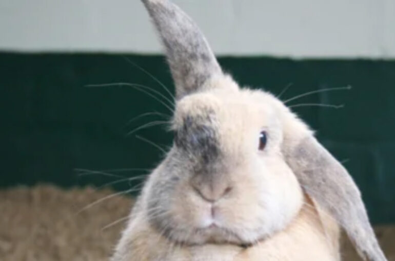 Das Örtliche für Stuttgart Rückwärtssuche Geldautomaten Notapotheken Kostenfreier Eintragsservice Anmelden ×× Tierärzte in Stuttgart Angebotsservice von Das Örtliche Fragen beantworten Mehrere Angebote Vergleichen & Sparen Jetzt direkt anfragen! Treffer 1-25 von 25 Treffer anzeigen mit Termin vereinbaren (13) Video (1) Bilder (3) Bewertungen (22) Öffnungszeiten Jetzt offen (9) Alle Öffnungszeiten (13) Rubriken Tierärzte (22) Tierkliniken (2) Buchhandel (1) Private Einträge (2) Stadtteile Bad Cannstatt (2) Birkach (1) Botnang (2) Degerloch (2) Feuerbach (1) Hedelfingen (1) Heumaden (1) Möhringen (1) Nord (2) Plieningen (2) Sillenbuch (2) Stammheim (1) Untertürkheim (1) Vaihingen (1) Weilimdorf (1) ›Alle Stadtteile zeigen … A - Z Trefferliste Bendel J. Dr. Tierarztpraxis Tierärzte Münchinger Str. 4 70439 Stuttgart, Stammheim Tel. 0711 6 72 53 53 Gratis anrufen! 13 Bewertungen1 Jetzt bewerten! Details anzeigen Termin anfragen2 Benetka M. MV Dr. , Brüning C. med.vet. Tierärztliche Gemeinschaftspraxis Tierärzte Griegstr. 27 C 70195 Stuttgart, Botnang Tel. 0711 69 08 13 Gratis anrufen! Geöffnet bis 19:00 Uhr 11 Bewertungen (+ 2 weitere)1 Jetzt bewerten! Details anzeigen Dr. Stephanie Hünemörder-Milz Tierarztpraxis Tierärzte Masurenstr. 12 70374 Stuttgart, Bad Cannstatt Tel. 0711 5 28 32 23 Gratis anrufen! öffnet um 16:00 Uhr 4 Bewertungen1 Jetzt bewerten! Details anzeigen Termin anfragen2 E-Mail Website Drescher Birgit Priv. Doz. Dr. med. vet. Kleintierpraxis Tierärzte Bientzlestr. 14 70599 Stuttgart, Birkach Tel. 0711 45 51 07 Gratis anrufen! 4 Bewertungen (+ 2 weitere)1 Jetzt bewerten! Details anzeigen Groß Fritz prakt. Tierarzt Tierärzte Sachsenstr. 9 A 70435 Stuttgart, Zuffenhausen Tel. 0711 8 70 26 26 Gratis anrufen! Web Bewertungen1 ansehen Jetzt bewerten! Details anzeigen Termin anfragen2 Groß Fritz Tierarzt Tierärzte Erbsenbrunnengasse 17 70372 Stuttgart, Bad Cannstatt Tel. 0711 55 82 81 Gratis anrufen! Details anzeigen Termin anfragen2 Häfner Ursula Dr. Dipl.-Biol. Praktische Tierärztin Tierärzte Schlotterbeckstr. 19 70327 Stuttgart, Untertürkheim Tel. 0711 33 38 63 Gratis anrufen! 11 Bewertungen1 Jetzt bewerten! Details anzeigen Lotze Anke Dr.med.vet. Tierarztpraxis Tierärzte Burgenlandstr. 66 70469 Stuttgart, Feuerbach Tel. 0711 81 56 88 Gratis anrufen! 4 Bewertungen1 Jetzt bewerten! Details anzeigen Marquis Corinna Dr. Tierarzt Tierärzte Augustenstr. 106 70197 Stuttgart, West Tel. 0711 6 15 05 97 Gratis anrufen! öffnet um 16:00 Uhr 6 Bewertungen1 Jetzt bewerten! Details anzeigen Morlock Petra Tierarztpraxis Tierärzte Julius-Hölder-Str. 60 70597 Stuttgart, Degerloch Tel. 0711 7 67 67 60 Gratis anrufen! öffnet morgen um 09:00 Uhr 9 Bewertungen (+ 3 weitere)1 Jetzt bewerten! Details anzeigen Termin anfragen2 Müller Nina Dr.med.vet. Tierärzte Mittlere Str. 27 70597 Stuttgart, Degerloch Tel. 0711 9 07 33 44 Gratis anrufen! Details anzeigen Rieso-Carlson Annette Dr.med.vet. Kleintierpraxis Tierärzte Gärtnerstr. 29 70329 Stuttgart, Hedelfingen Tel. 0711 34 23 84 06 Gratis anrufen! 1 Bewertung1 Jetzt bewerten! Details anzeigen Schnepf-Vockrodt Angelika Dr. Tierärztin Tierärzte Hauptstr. 56 A 70563 Stuttgart, Vaihingen Tel. 0711 7 35 69 69 Gratis anrufen! öffnet morgen um 10:00 Uhr 2 Bewertungen (+ 2 weitere)1 Jetzt bewerten! Details anzeigen Termin anfragen2 Schröer Nicola Dr. Tierarztpraxis Tierärzte Kirchheimer Str. 77 70619 Stuttgart, Sillenbuch Fax 0711 4 79 73 99 Geöffnet bis 17:00 Uhr 2 Bewertungen1 Jetzt bewerten! Details anzeigen Seiffert Birgit Dr.med.vet. Tierärztin Tierärzte Regerstr. 18 70195 Stuttgart, Botnang Tel. 0711 65 81 17 50 Gratis anrufen! Geöffnet bis 16:00 Uhr Web Bewertungen1 ansehen Jetzt bewerten! Details anzeigen Termin anfragen2 Späth D. Dr. Kleintierpraxis Tierärzte Rembrandtstr. 15 70567 Stuttgart, Möhringen Tel. 0711 71 24 34 Gratis anrufen! 3 Bewertungen (+ 4 weitere)1 Jetzt bewerten! Details anzeigen Tierärztliche Gemeinschaftspraxis S. Burgsmüller & K. Preßler Praxis für Kleintiere Tierärzte Paprikastr. 14 70619 Stuttgart, Heumaden Tel. 0711 4 40 31 58 Gratis anrufen! Geöffnet bis 18:00 Uhr 2 Bewertungen1 Jetzt bewerten! Details anzeigen Termin anfragen2 Tierarzt Kleintierpraxis Klaus Senger Tierärzte Smaragdweg 1 70174 Stuttgart, Nord Tel. 0711 2 53 67 57 Gratis anrufen! Geöffnet bis 19:00 Uhr 2 Bewertungen (+ 4 weitere)1 Jetzt bewerten! Details anzeigen Termin anfragen2 Tierarztpraxis am Wormser Platz Tierarzt Tierärzte Deidesheimer Str. 15 70499 Stuttgart, Weilimdorf Tel. 0711 8 89 20 92 Gratis anrufen! 4 Bewertungen1 Jetzt bewerten! Details anzeigen Termin anfragen2 Tierarztpraxis Dr.Schröer Nicola Tierärzte Tierärzte Kirchheimer Str. 77 70619 Stuttgart, Sillenbuch Tel. 0711 47 33 43 Gratis anrufen! Geöffnet bis 17:00 Uhr 2 Bewertungen1 Jetzt bewerten! Details anzeigen Termin anfragen2 Weinmann Petra Tierärzte Schloßstr. 58 70176 Stuttgart, West Tel. 0711 62 67 23 Gratis anrufen! Details anzeigen Wörz-Pagenstert Ute Kleintierpraxis Tierärzte Schilfweg 11 70599 Stuttgart, Plieningen Tel. 0711 4 57 02 43 Gratis anrufen! Geöffnet bis 18:00 Uhr 2 Bewertungen1 Jetzt bewerten! Details anzeigen Ernst M. , E. Dres. Kleintierpraxis Tierkliniken Birkenwaldstr. 214 70191 Stuttgart, Nord Tel. 0711 2 56 64 09 Gratis anrufen! 7 Bewertungen (+ 5 weitere)1 Jetzt bewerten! Details anzeigen Termin anfragen2 Schweitzer Fachinformationen Stuttgart | Hoser & Mende KG Buchhandel Rosensteinstraße 9 70182 Stuttgart Tel. 0711 16 35 40 Gratis anrufen! Geöffnet bis 17:00 Uhr Jetzt bewerten! Details anzeigen E-Mail Website Sinzinger Wolfgang Dr.med.vet. , Sonja , Himmelsbach Peter Dr. Tierklinik Tierkliniken Hermann-Fein-Str. 15 70599 Stuttgart, Plieningen Tel. 0711 6 37 38-0 Gratis anrufen! 6 Bewertungen1 Jetzt bewerten! Details anzeigen Termin anfragen2 Eintrag hinzufügen Hier fehlt ein Eintrag? Jetzt mithelfen, Das Örtliche noch besser zu machen! Hier kostenfrei Unternehmen zur Eintragung vorschlagen oder eigenen Privateintrag hinzufügen. Legende: 1 Bewertungen stammen u. a. von Drittanbietern 2 Buchung über externe Partner Kartensuche Strandbaeder Ein Angebot Ihrer Verlage Das Örtliche DTM Deutsche Tele Medien GmbH .wtv Württemberger Medien GmbH & Co. KG Startseite Deutschland Das Örtliche zu Favoriten Kontakt Verbrauchertipps Werben Buchbestellung Presse Das Örtliche für Unterwegs Mobil Mein Örtliches Nutzungsbedingungen Datenschutz Netiquette Impressum Datenschutz-Einstellungen Freibäder finden Weihnachtsmärkte finden Adresssuche Geldautomaten Notapotheken Telefonauskunft Postleitzahlen Vorwahlen Firmensuche Rückwärtssuche Branchenbuch Personensuche GoLocal DTM Deutsche Tele Medien GmbH Facebook – Fan werden Folge uns auf Instagram Folge uns auf X @dasoertliche Über den Messenger suchen Die besten lokalen Empfehlungen Newsletter Suchbegriffe © Das Örtliche 2024 nach oben Abstand Datenschutz-Einstellungen