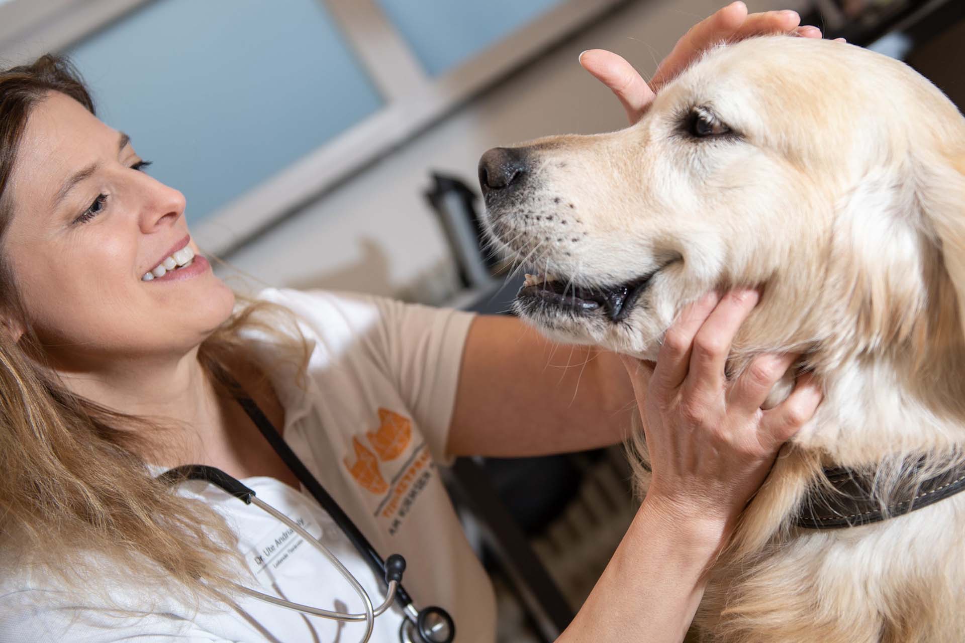 Tierarzt Praxis Stuttgart: Wir behandeln Hunde, Katzen und kleine Heimtiere (z. B. Kaninchen, Meerschweinchen, Ratten, Hamster etc.) Ihre freundliche und kompetente Tierarztpraxis in Stuttgart. Individuelle Beratung, digitales Röntgen, Ultraschall, dentales Röntgen, Abendsprechstunde, ...