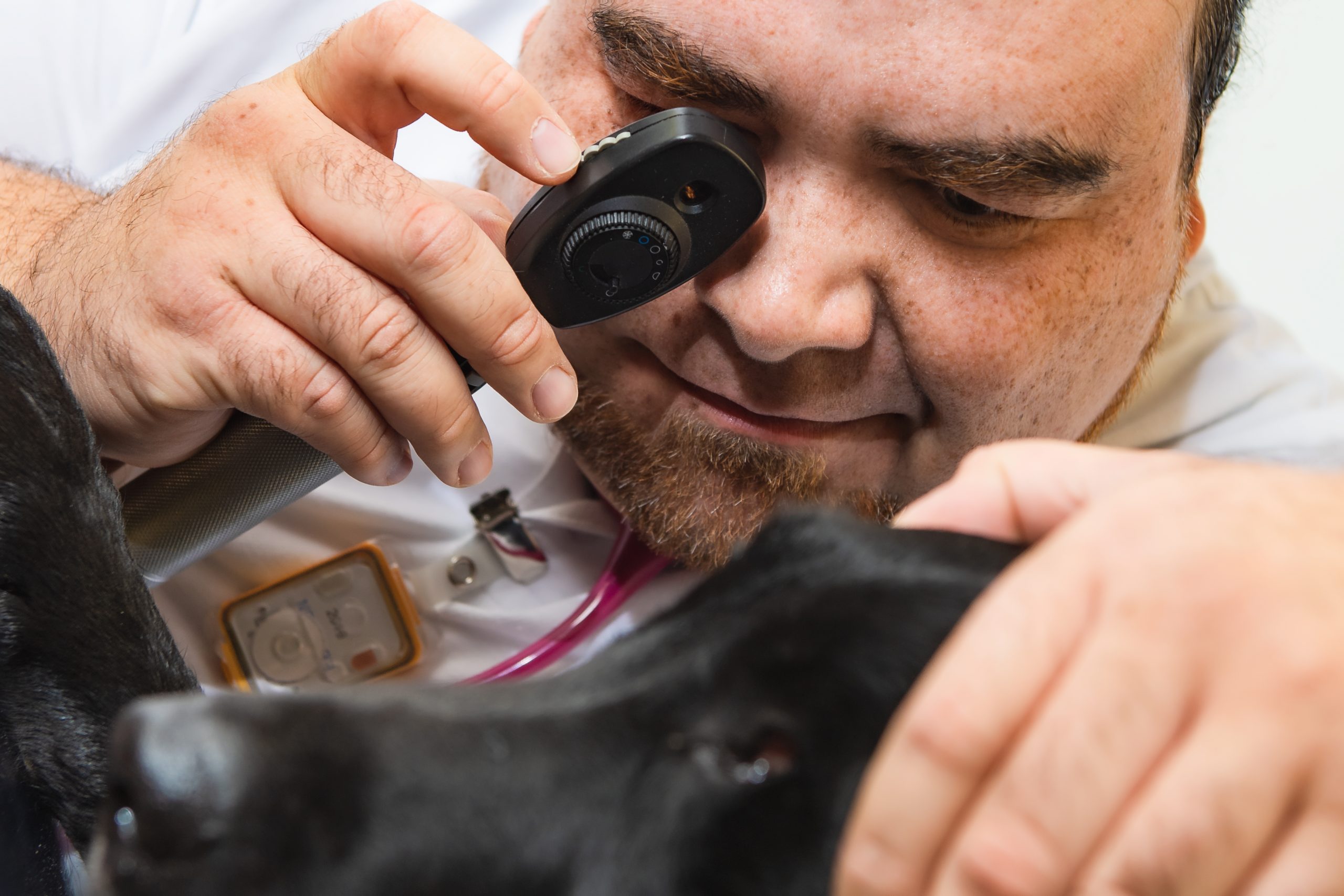 Tierarzt Praxis Stuttgart: Wir behandeln Hunde, Katzen und kleine Heimtiere (z. B. Kaninchen, Meerschweinchen, Ratten, Hamster etc.) Ihre freundliche und kompetente Tierarztpraxis in Stuttgart. Individuelle Beratung, digitales Röntgen, Ultraschall, dentales Röntgen, Abendsprechstunde, ...