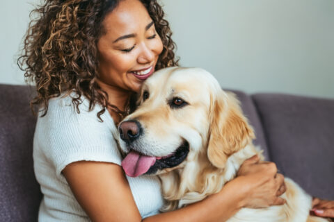 Bindung zum Hund stärken