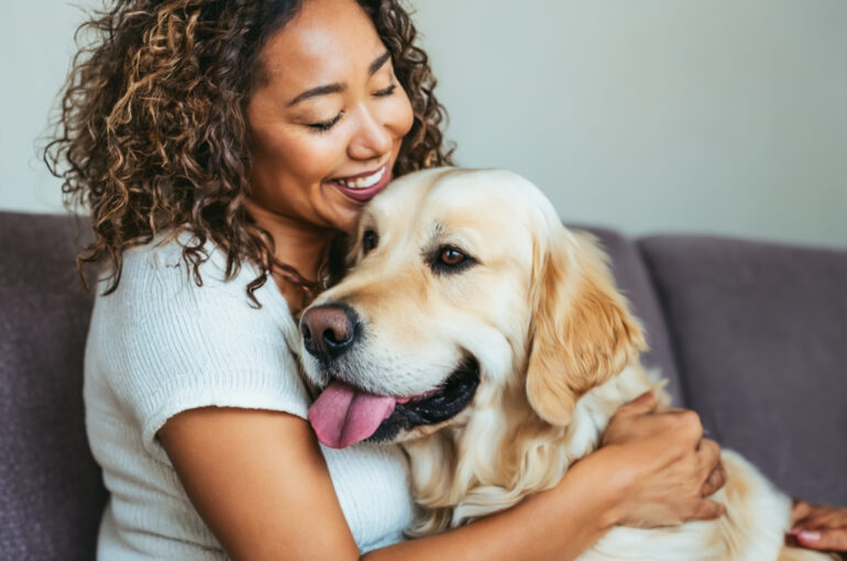 Bindung zum Hund stärken