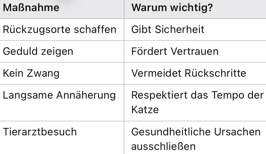 Eingewöhnung von Katzen