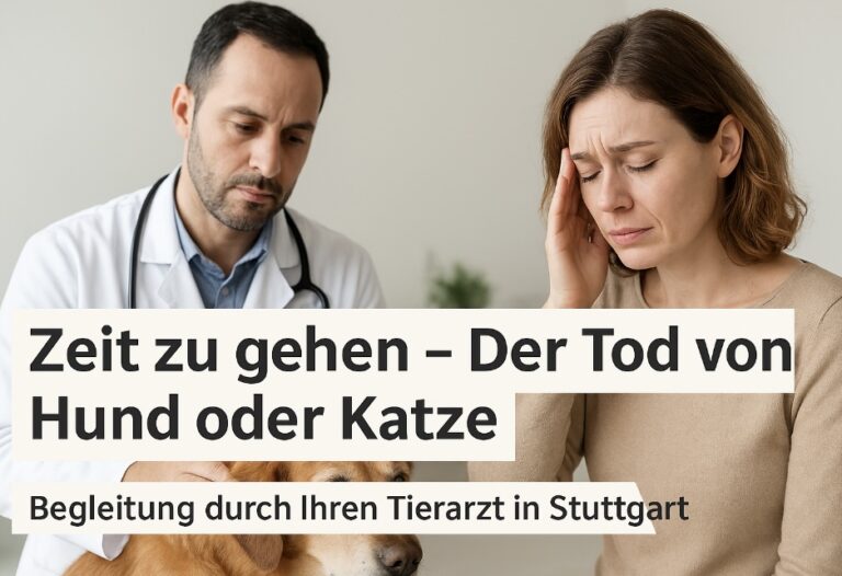 Zeit zu gehen – Der Tod von Hund oder Katze Begleitung durch Ihren Tierarzt in Stuttgart