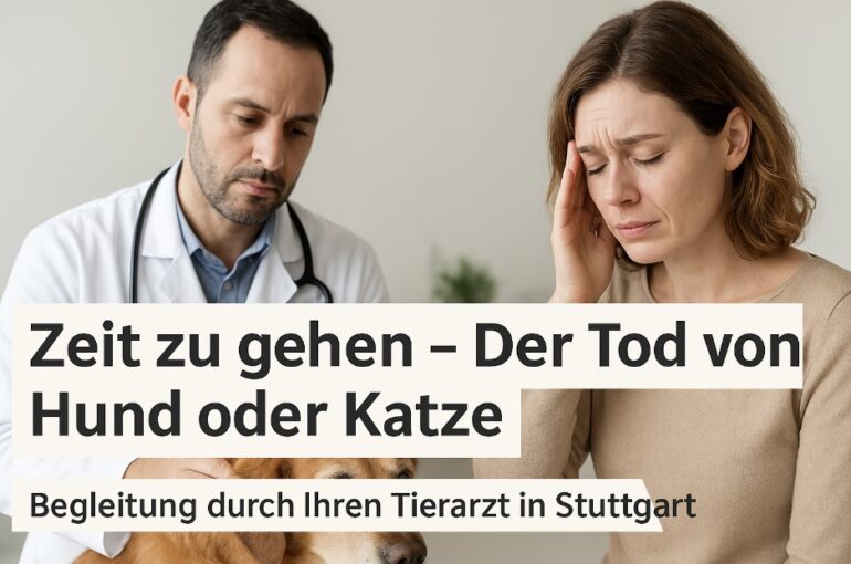 Zeit zu gehen – Der Tod von Hund oder Katze Begleitung durch Ihren Tierarzt in Stuttgart