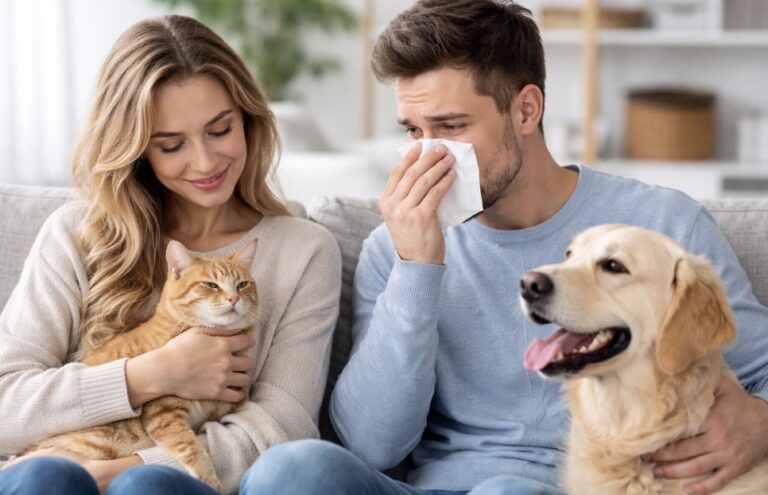 Tierhaarallergie – Beratung durch Ihren Tierarzt in Stuttgart Endlich haben Sie die große Liebe gefunden und könnten kaum glücklicher sein.