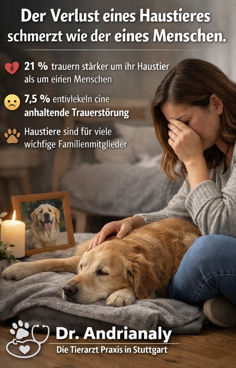 🐾 Psychologie der Tierliebe: Warum der Verlust eines Haustieres so schmerzhaft ist. Dr. Andrianaly – die Tierarzt Praxis in Stuttgart erklärt Der Verlust eines geliebten Haustieres trifft viele Menschen tief –
