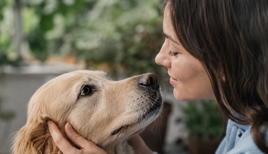 Tierarzt Stuttgart - Dr. Andrianaly: Kommunikation zwischen Mensch und Hund – Hunde haben eine einzigartige Fähigkeit, uns zu verstehen Kommunikation zwischen Mensch und Hund – ein außergewöhnliches Talent