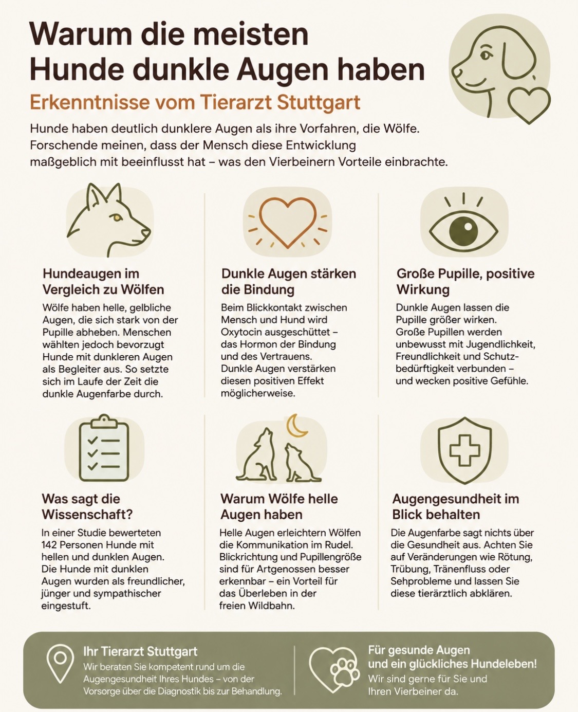 Warum die meisten Hunde dunkle Augen haben – Erkenntnisse vom Tierarzt Stuttgart Dunkle Hundeaugen: Mehr als nur ein süßer Blick Warum die meisten Hunde dunkle Augen haben – Erkenntnisse vom Tierarzt Stuttgart Dunkle Hundeaugen: Mehr als nur ein süßer Blick